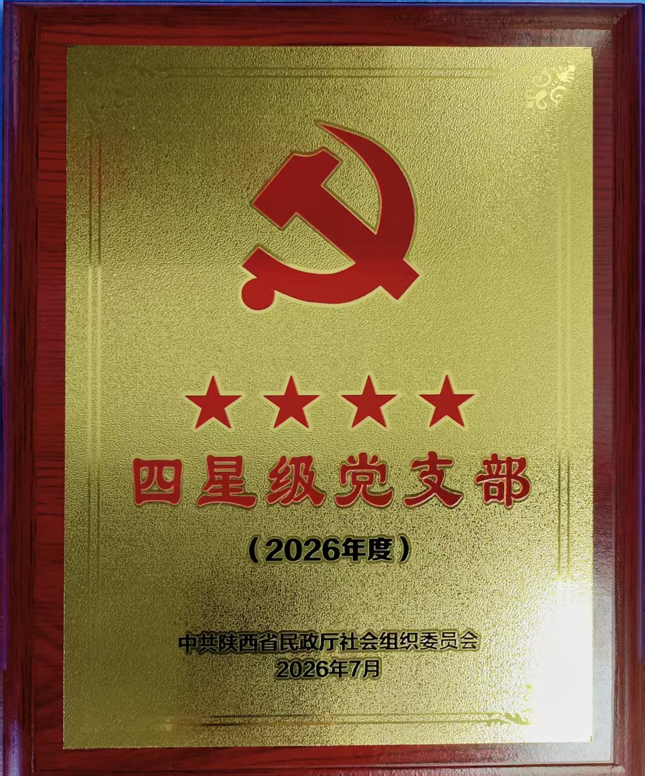 党建引领促提升 创先争优获殊荣｜陕西展协党支部获评“四星级党支部”、张锁良书记荣获“优秀党务工作者”