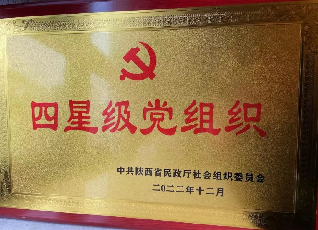 【喜报】陕西省会展行业协会党支部荣获“四星级党组织”称号(图4)