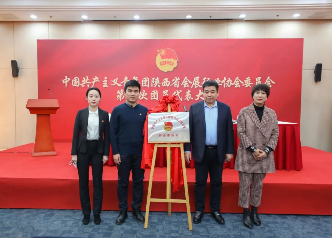 共青团陕西省会展行业协会委员会成立暨第一次团员代表大会成功召开(图8)