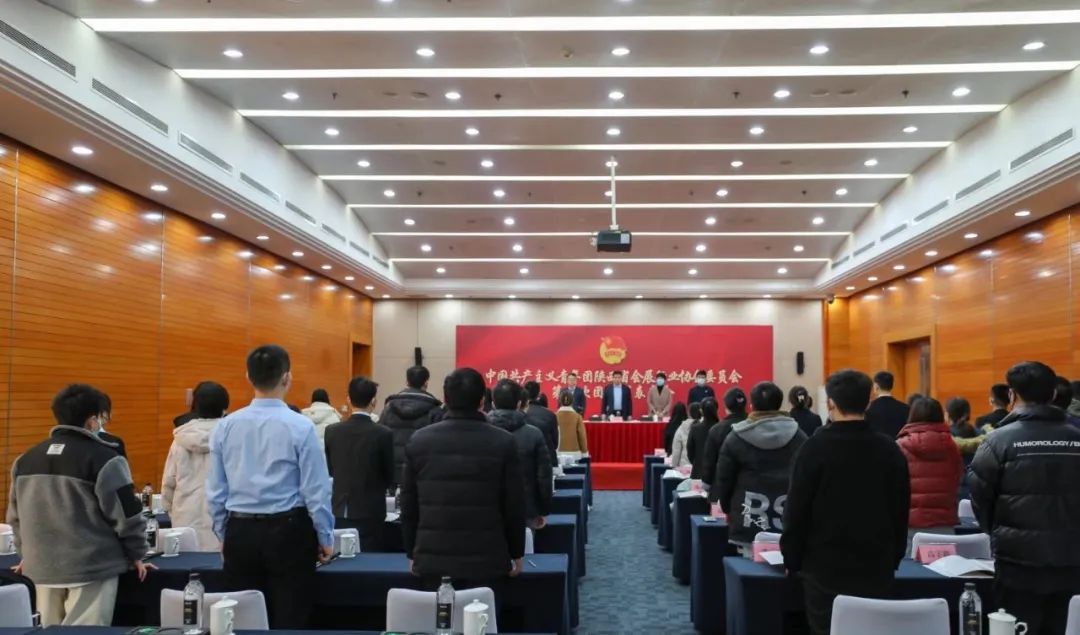 共青团陕西省会展行业协会委员会成立暨第一次团员代表大会成功召开(图11)